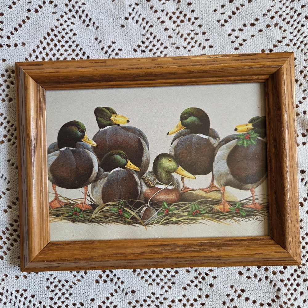 Source Unknown Ducks Art Print - Brown and Green